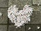 Beautiful white flowers (tung flower) arranged in the shape of a heart on the road