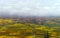 Beautiful white foggy layer over vineyards of Alsace, France