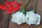 Beautiful white fresh moist rose flowers decorated with mini red heart figures on wood texture background, soft tone valentine