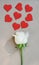 Beautiful white fresh rose flower on clear background decorated with mini red heart, soft tone valentine concept