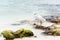 A beautiful white heron bird stands on the rocks on the Caribbean coast of the Dominican Republic.