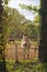 Beautiful White Horse on the Farm ranch