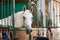 Beautiful white horse at the ranch. hippodrome preparing for the race. a magnificent animal in the sun