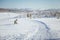 A beautiful white landscape of a snowy winter day with tracks for snowmobile or dog sled