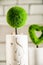 Beautiful white light Easter photo. Textured concrete vases in Loft style. A plant made of moss in the form of a ball and a heart.