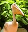 Beautiful White Pelican with it`s large beak