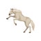 Beautiful white rearing up, side view. Animal with hooves, long flowing mane and tail. Flat vector icon