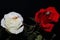 Beautiful white and red rose buds and wedding rings connected by gold chain on black background as symbol of love and loyalty.