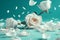 Beautiful white rose flowers and petals falling on turquoise background . White Roses and Falling Petals on Turquoise. AI