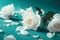 Beautiful white rose flowers and petals falling on turquoise background . White Roses and Falling Petals on Turquoise. AI