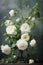Beautiful white roses in an elegant vase art illustration