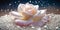 Beautiful white roses and white pearls. Closeup flower bouquet and jewels. AI Generated