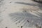 beautiful white sand beach Andaman iceland