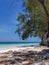 Beautiful white sand beach and blue ocean at lonely island of Selayar, Indonesia