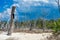 The beautiful white sand beach of Cayo Levisa, Cuba