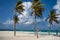 Beautiful white sandy beach with palm trees, chairs and hammocks for a wonderful vacation