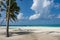 Beautiful white sandy beach with palm trees and chairs for a wonderful vacation