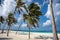 Beautiful white sandy beach with palm trees and chairs for a wonderful vacation