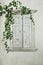 Beautiful white shutters with vegetation