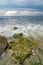 beautiful white and soft wave flow over the rock and mossy hitting the shore.dramatic dark clouds background before storm