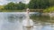 Beautiful white swan with red beak floating on lake.