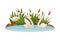 Beautiful white swans swimming in the pond. Ugly duckling fairy tale cartoon vector illustration