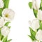 Beautiful white tulips realistic background