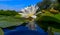 Beautiful white water lily (Nymphaea alba) flowers on the water surface in the lake Kugurluy, Ukraine