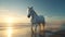 a beautiful white wild horse running on beach