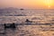 Beautiful white yacht and sunset, Sharm el Sheikh, Egypt