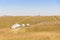 Beautiful white Yurts with pray flags and dray in Huanghuagou Huitengxile grassland near Hohhot, Inner Mongolia, China