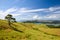 Beautiful wide angle view of the Coromandel Peninsula on the North Island of New Zealand