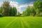 Beautiful wide format image of a manicured country lawn surrounded by trees and shrubs on a bright summer day. Generative AI.