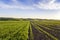 Beautiful wide peaceful panorama of plowed and green fields lit by morning sun stretching to horizon under bright blue sky on dist