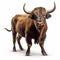 Beautiful wild beast bull looking forward is shown in full length, Ai generated