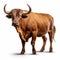 Beautiful wild beast bull looking forward is shown in full length, Ai generated