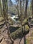 Beautiful and wild canyon: Erlaufklamm in Lower Austria. Austria.