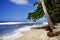 Beautiful wild caribbean beach landscape - Costeno Beach