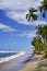 Beautiful wild caribbean beach landscape - Costeno Beach