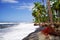 Beautiful wild caribbean beach landscape - Costeno Beach