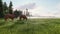 Beautiful wild horses graze in the meadow at dawn. The concept of horses. 3D Rendering