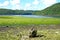 Beautiful wild landscapes of TÃ©rÃ©nez - a peninsula in Brittany, France