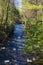 Beautiful Wild Mountain Trout Stream in Giles County, Virginia, USA