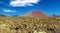 Beautiful wild rough surreal volcanic landscape, red volcano crater, lava ash field, clear blue sky - Timanfaya NP, Lanzarote