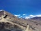 Beautiful wild stray dogs overlooking the andes mountains of Per