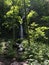 A beautiful wild waterfall cascading in the forest