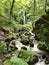 A beautiful wild waterfall cascading in the forest