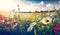 Beautiful wildflower meadow landscape illustration. Sunny countryside garden, field with herbs, grass and flowers in summer