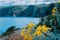 Beautiful Wildflowers in front of amazing mediterranean landscape. Blurred background