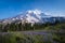 Beautiful wildflowers and Mount Rainier